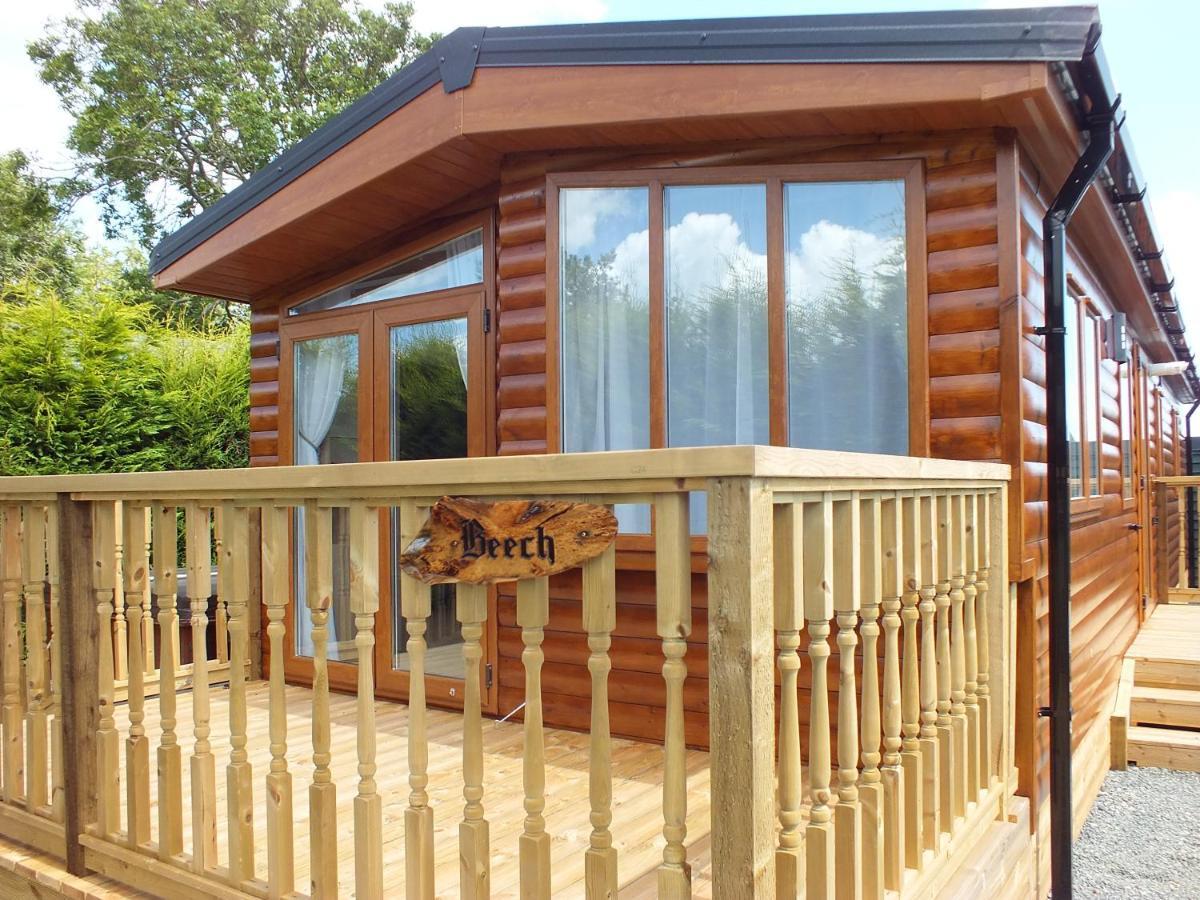 Villa Beech Swanage Esterno foto